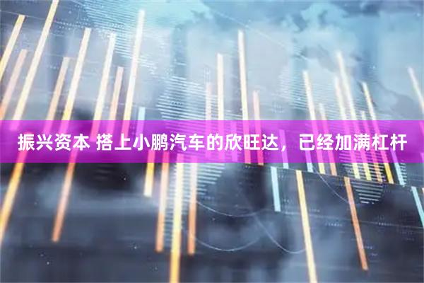 振兴资本 搭上小鹏汽车的欣旺达，已经加满杠杆