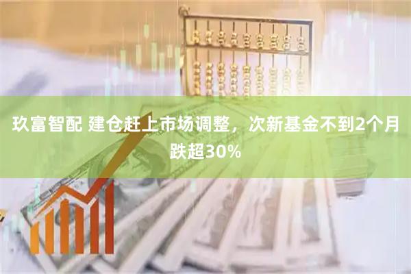 玖富智配 建仓赶上市场调整，次新基金不到2个月跌超30%